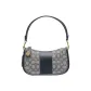 Bag+Dust Bag