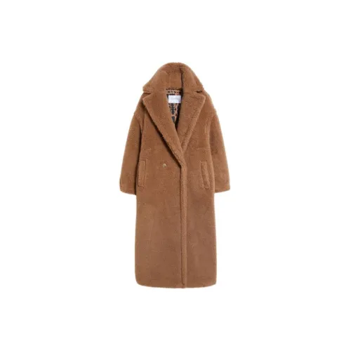 MaxMara Teddy Series Coats Women's Camel