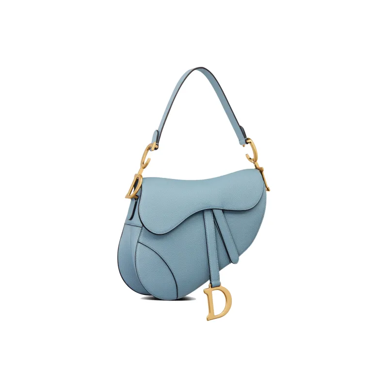 DIOR Saddle Handbags-1
