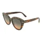 Tortoiseshell