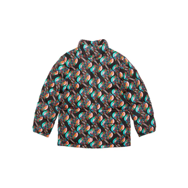GUCCI X The North Face Down Jacket Multicolor/Black-1