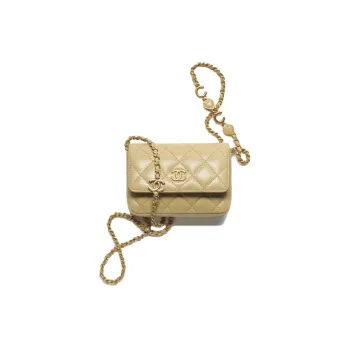 CHANEL 22K Autumn And Winter Clutches