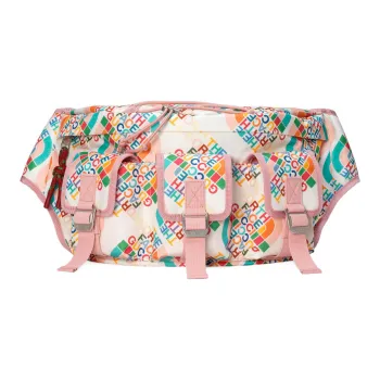 GUCCI The North Face Collaboration Nylon Shoulder Bag, Crossbody Bag, Sling Bag, Fanny Pack Large Size Men's White/Pink