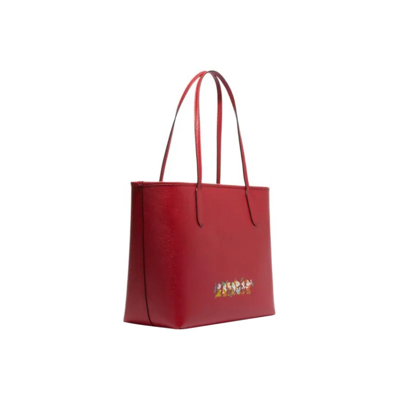 Disney X COACH City Handbags-1