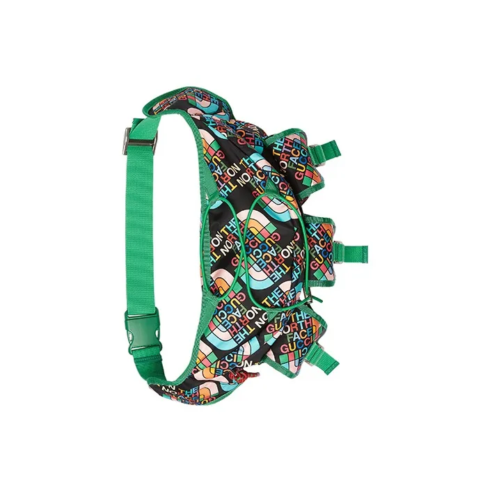 GUCCI The North Face Collaboration Nylon Sling Bag Fanny Pack Large Size Men's Green/Black-4