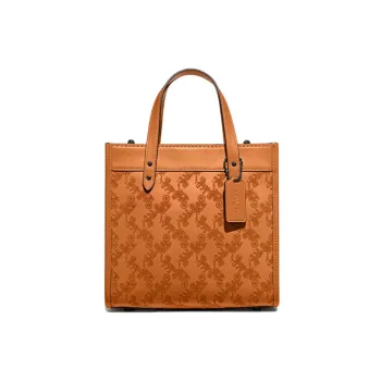 COACH Field Cow Leather Tote Bag Shopping Bag Handbag Shoulder Bag Crossbody Bag Medium Size Women's Yellow