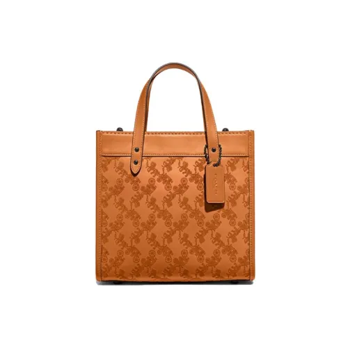 COACH Field Cow Leather Tote Bag Shopping Bag Handbag Shoulder Bag Crossbody Bag Medium Size Women's Yellow