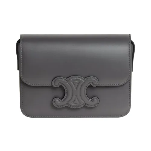 CELINE Triumph Gate Triomphe Smooth Cow Leather Handbag Shoulder Bag Crossbody Bag Women's Gray