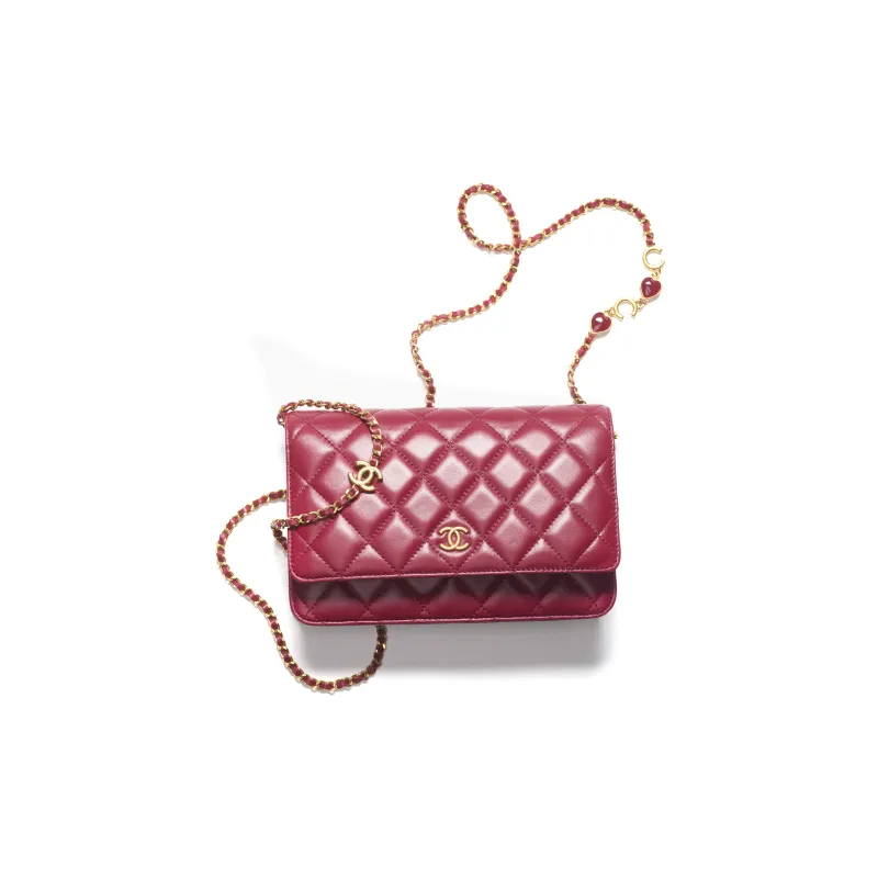 CHANEL WOC Crossbody Bags-0
