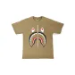 Beige Yellow