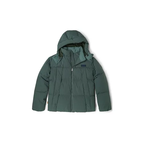 Timberland Down Jacket Men's Wax Green
