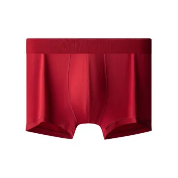CK/Calvin Klein Underpants Men's Dark Red