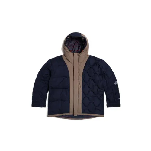 THE NORTH FACE UE Series Down Jackets Men Dark Blue