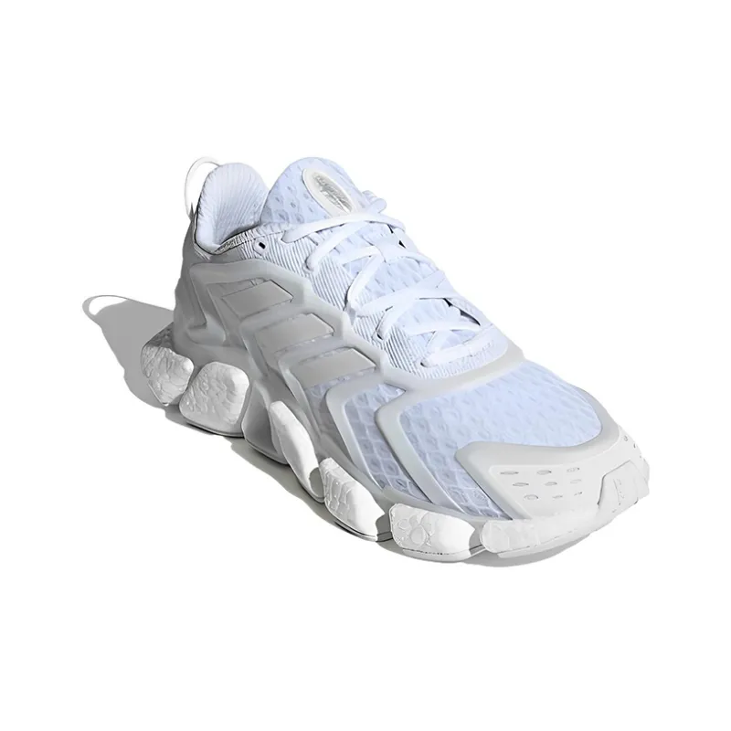 Adidas Climacool Boost 'Blue White'-2