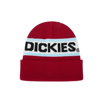 Dickies Beanies Kids Red