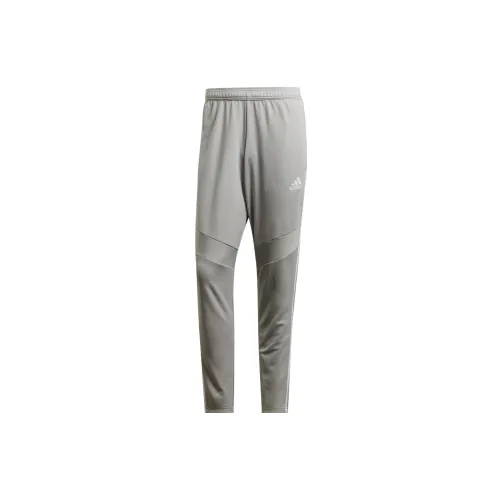 Adidas Tiro 19 Training Pants 