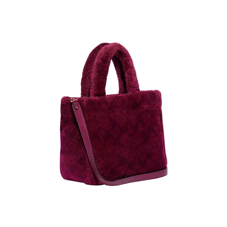 COACH Handbags-1