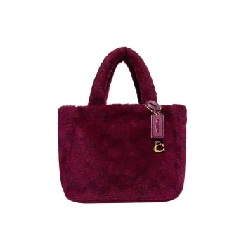 COACH Tote Handbags