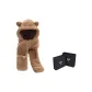 Coffee (Gift Box Set)