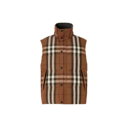 Burberry Down Jackets Men Brown