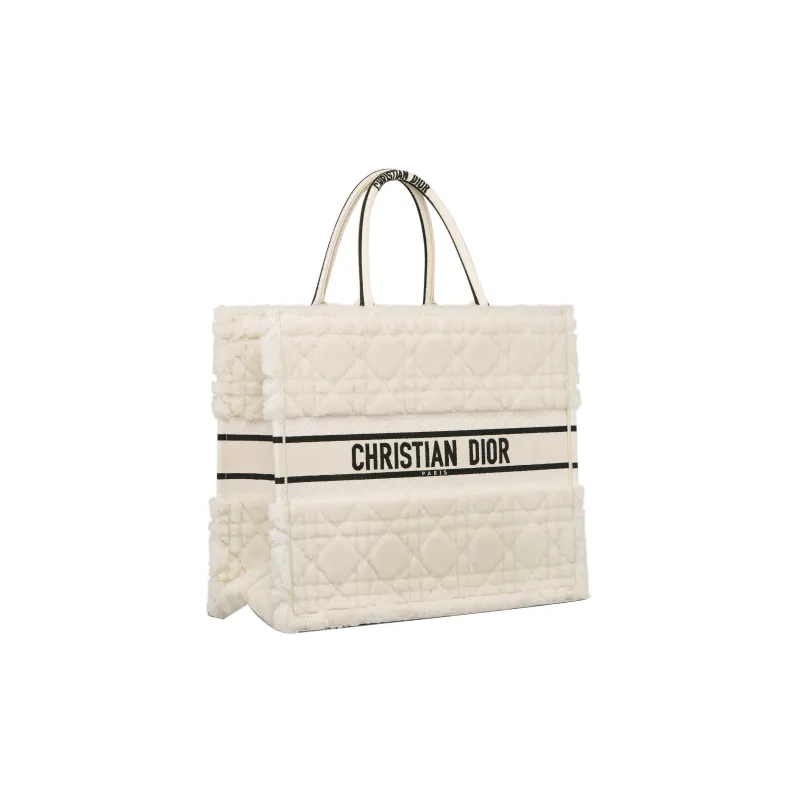 DIOR BookTote Handbags-1