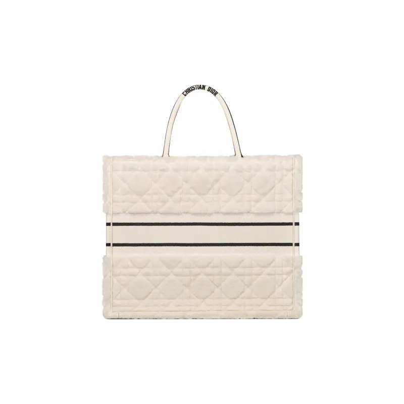 DIOR BookTote Handbags-2