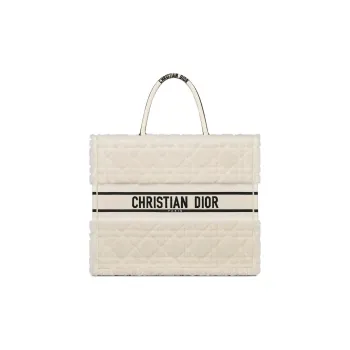 DIOR BookTote Handbags