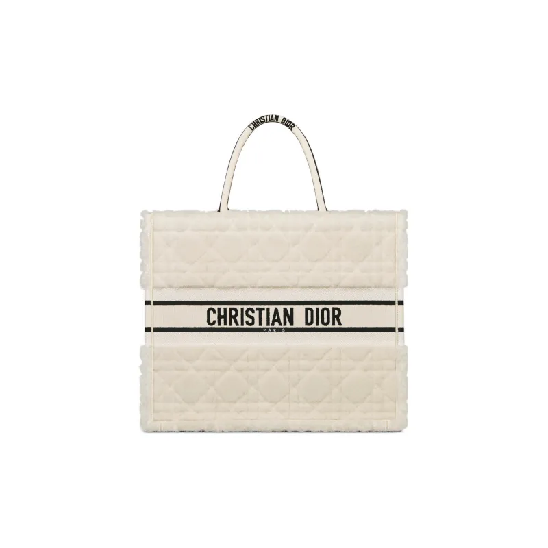 DIOR BookTote Handbags-0