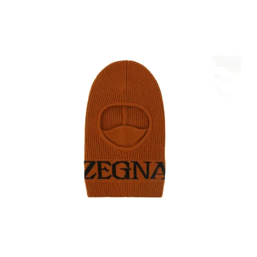 Ermenegildo Zegna Hats Men Brown