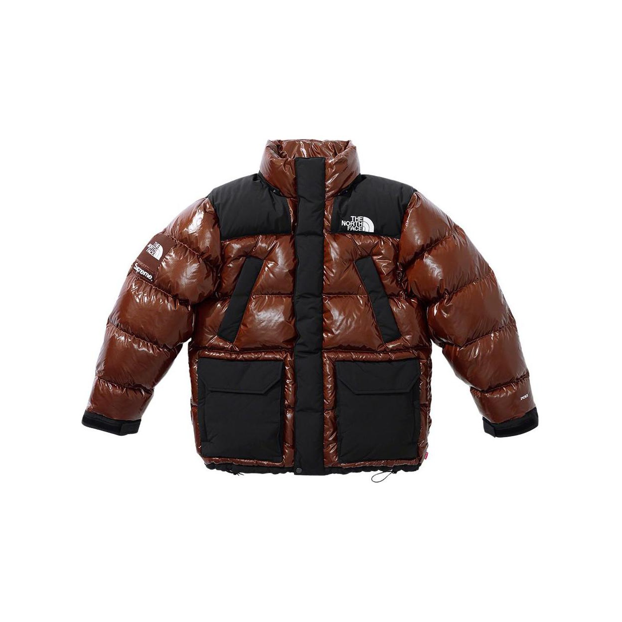 Supreme The North Face 700-Fill Down Parka (FW22) - $598