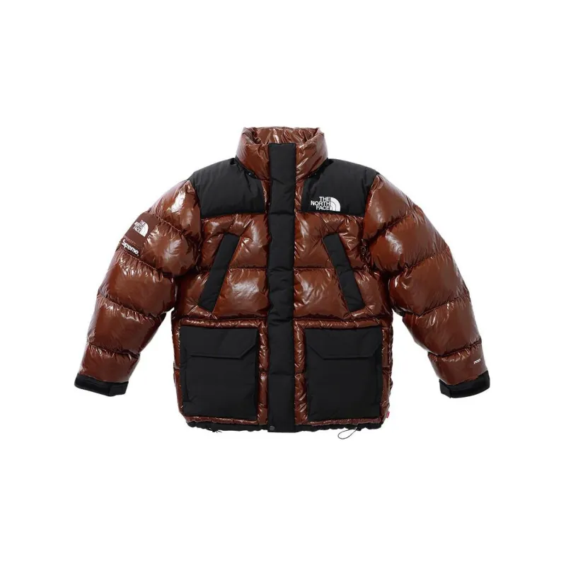 Supreme The North Face 700 Fill Down Parka-1