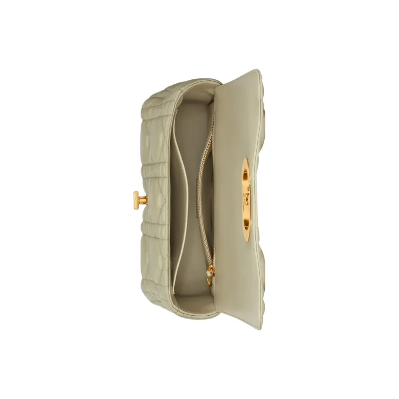 DIOR Caro Cow Leather Handheld Shoulder Bag, Crossbody Bag Medium Size Women's Gray Green-3