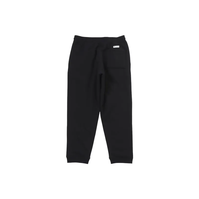 Champion FW22 Straight Thickened Sports Pants Men's-1