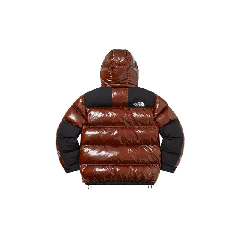 Supreme The North Face 700 Fill Down Parka-2