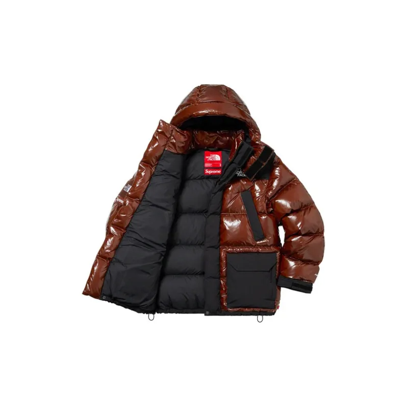 Supreme The North Face 700 Fill Down Parka-3
