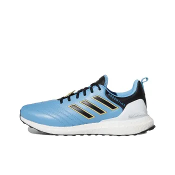 Adidas Ultra Boost Dna Copa World Cup Argentina