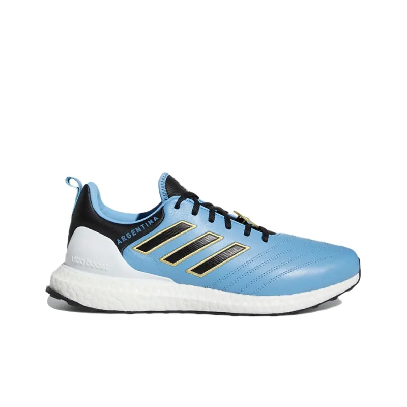 Adidas Ultra Boost Dna Copa World Cup Argentina-1