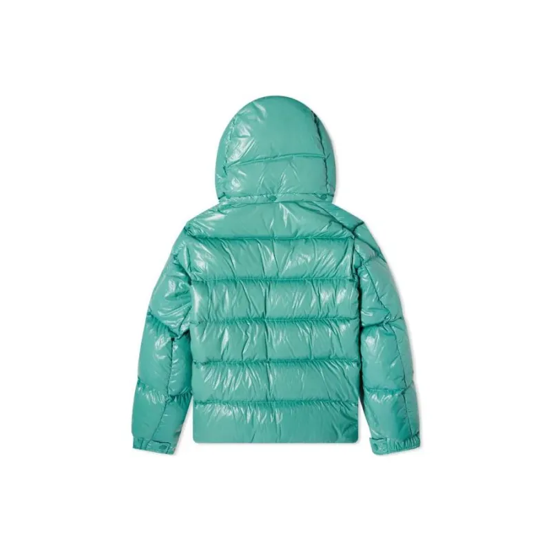 Moncler FW22 Down Jacket Men's Light Green-1