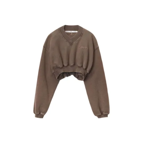 alexander wang Hoodie Pullover sweatshirt Female