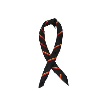 Burberry Silk Scarves Women's Black
