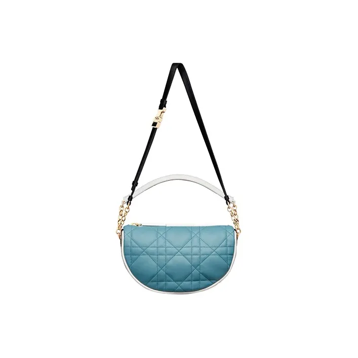 DIOR Vibe Lambskin Hobo Bag, Shoulder Bag, Crossbody Bag, Handbag Small Size Women's Sky Blue-2