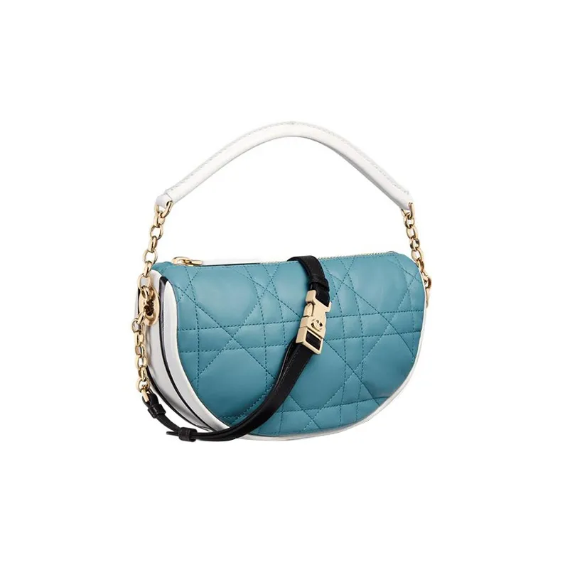 DIOR Vibe Lambskin Hobo Bag, Shoulder Bag, Crossbody Bag, Handbag Small Size Women's Sky Blue-1