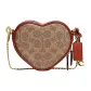 Bag+Dust Bag