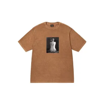 Stussy Le Violon Pigment Dyed Tee