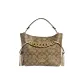 Bag+Dust Bag