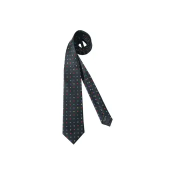 GIEVES CHARLES Mulberry Silk Business Formal Tie Men's