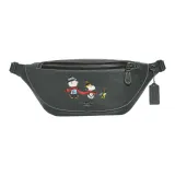 Bag+Dust Bag