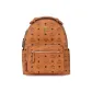 Bag+Dust Bag