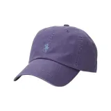 Purple/Blue Logo