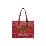 Bag+Dust Bag